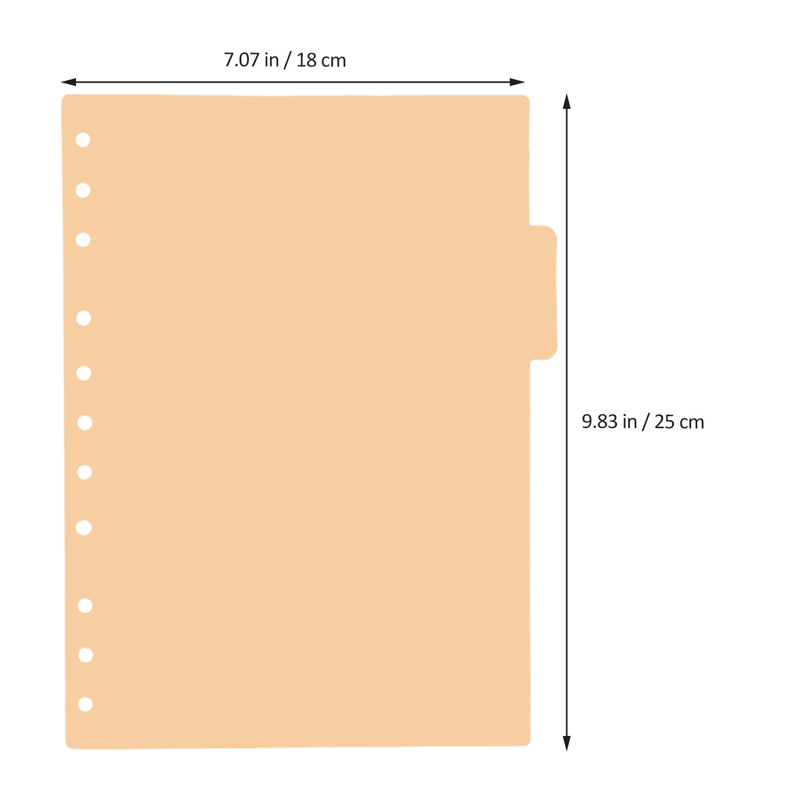 5 divisori in plastica per rac - Index Tab Divider recensione e prezzo